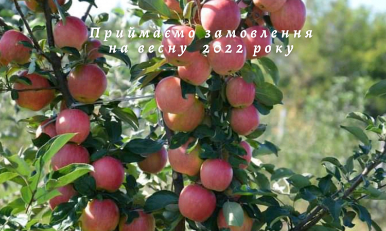 271718912_453510629638332_2279300066792154415_n